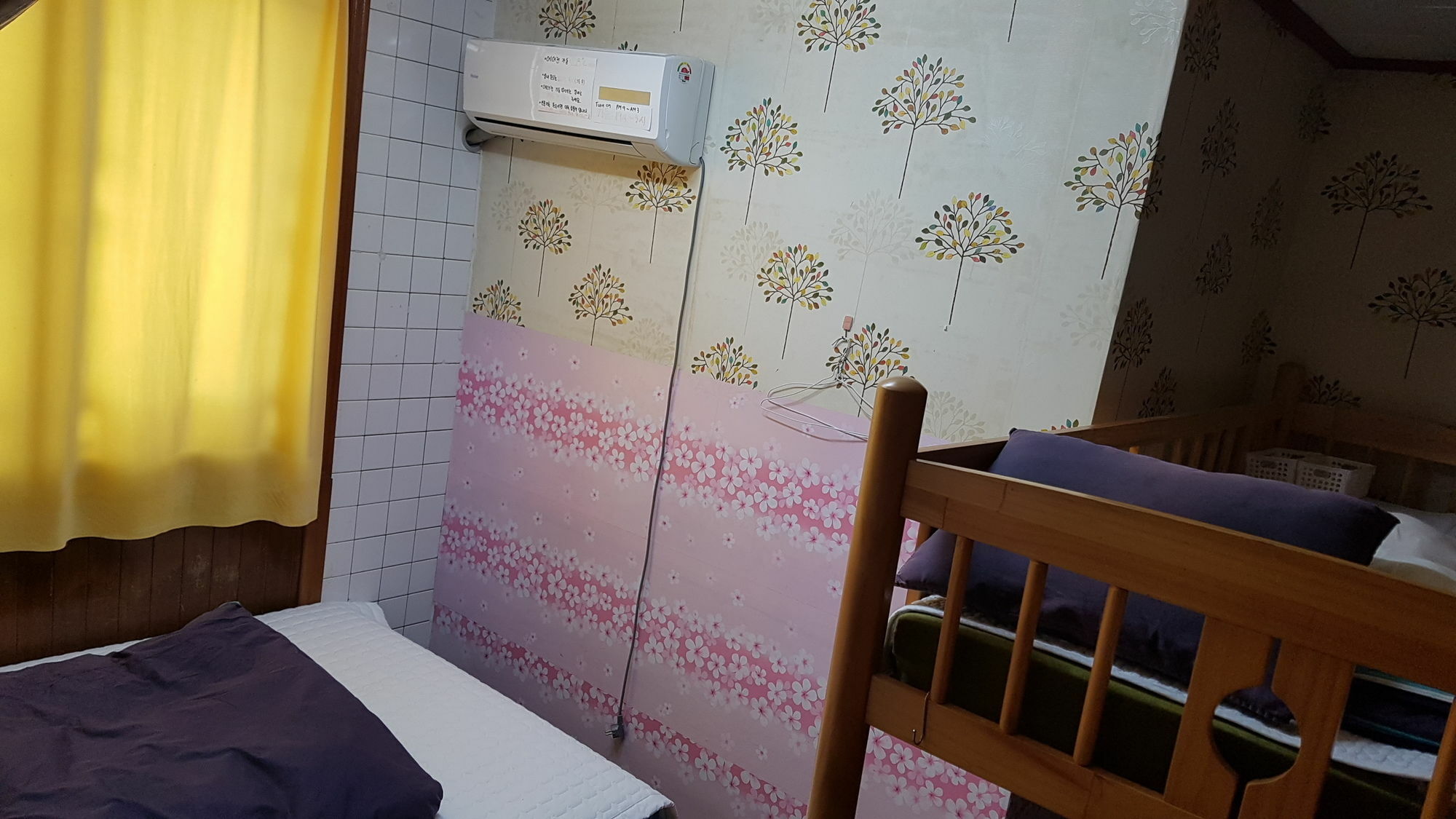 Guesthouse Spring Flower Сеогвипо Екстериор снимка